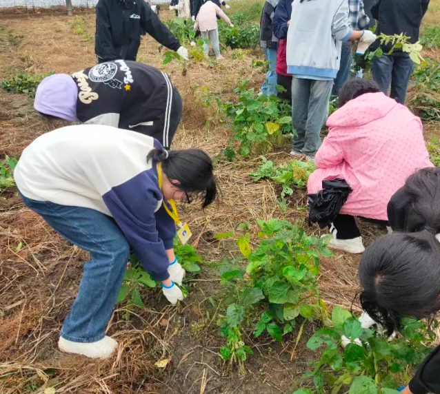 教研同步继续拓宽学子升学渠道助力广阔学子圆梦 教研同步继续拓宽学子升学渠道助力广阔学子圆梦