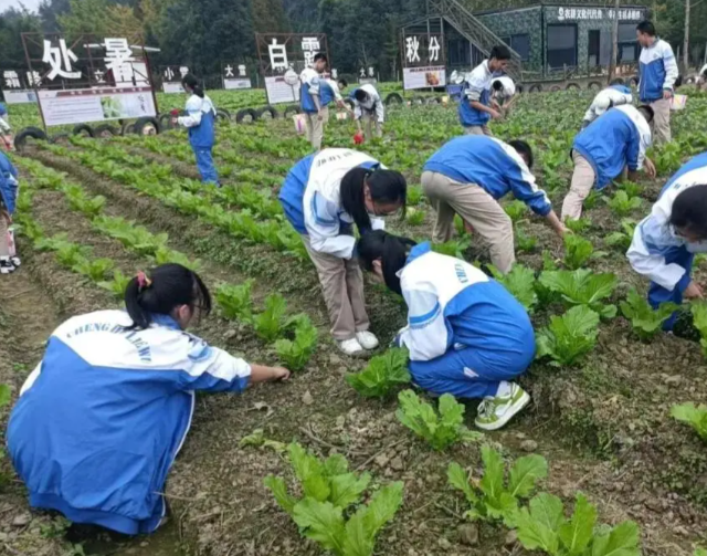 教研同步继续拓宽学子升学渠道助力广阔学子圆梦 教研同步继续拓宽学子升学渠道助力广阔学子圆梦